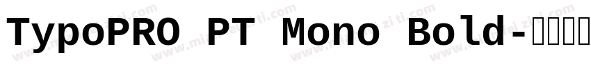 TypoPRO PT Mono Bold字体转换